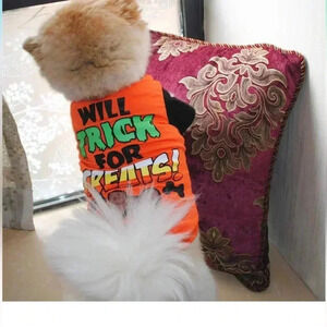 Halloween Doggie outfit orange size Xs/Small/Med New